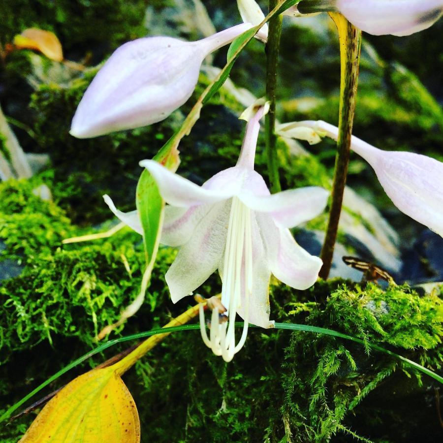 Otsu Nature Garden Akiruno Екстериор снимка