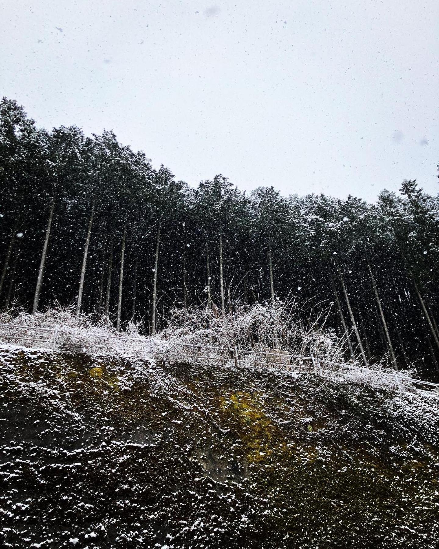 Otsu Nature Garden Akiruno Екстериор снимка
