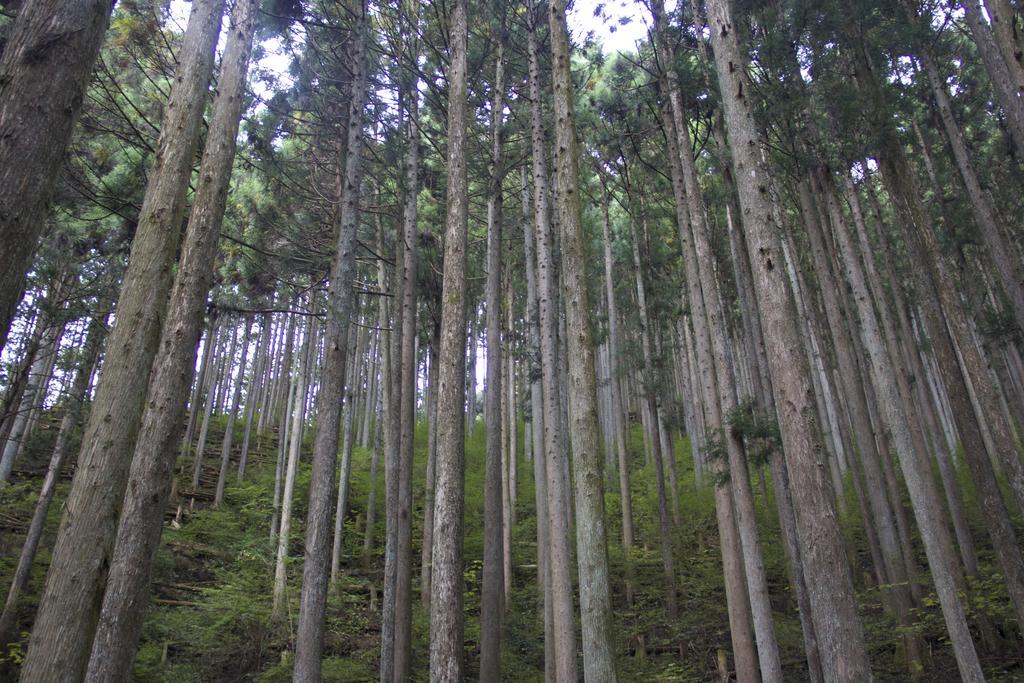 Otsu Nature Garden Akiruno Екстериор снимка