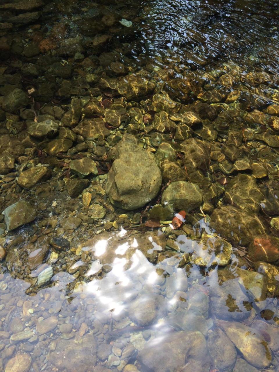Otsu Nature Garden Akiruno Екстериор снимка